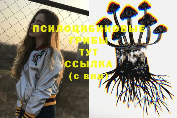 ешки Абинск