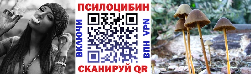 наркошоп  Южа  Псилоцибиновые грибы GOLDEN TEACHER 